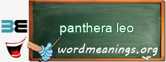 WordMeaning blackboard for panthera leo